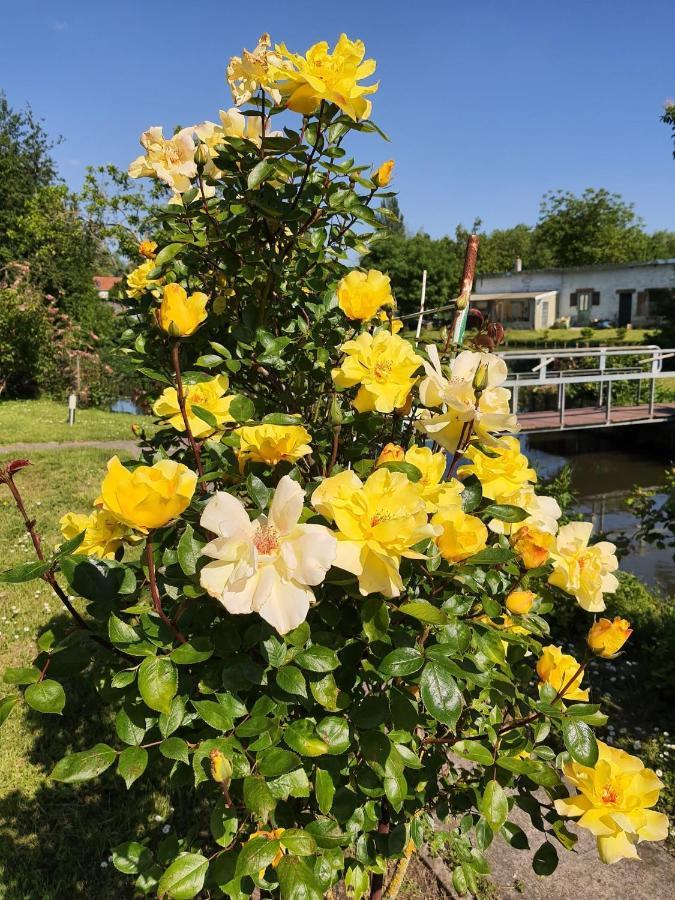 Le Cottage Des Hortillonnages อาเมียงส์ ภายนอก รูปภาพ